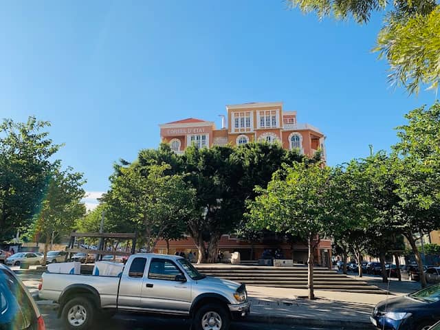 Downtown Tree - Image 2