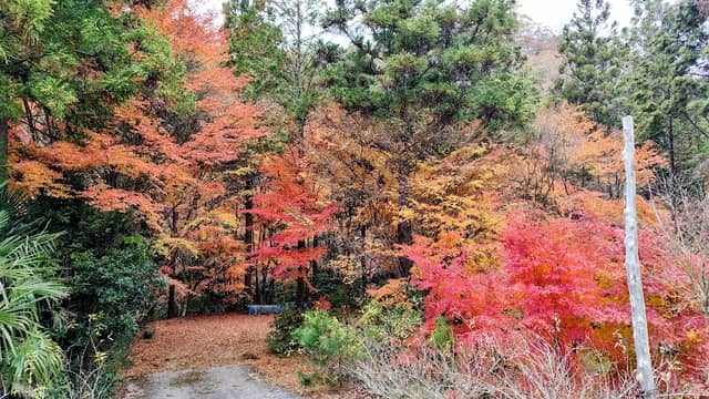 岨谷渓 - Image 1