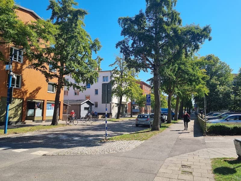 Ginkgo Allee - Image 1