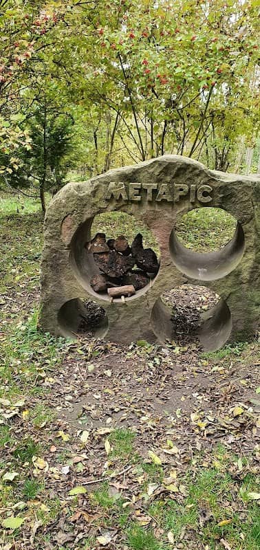 Metapic Woods Nature Reserve - Image 1