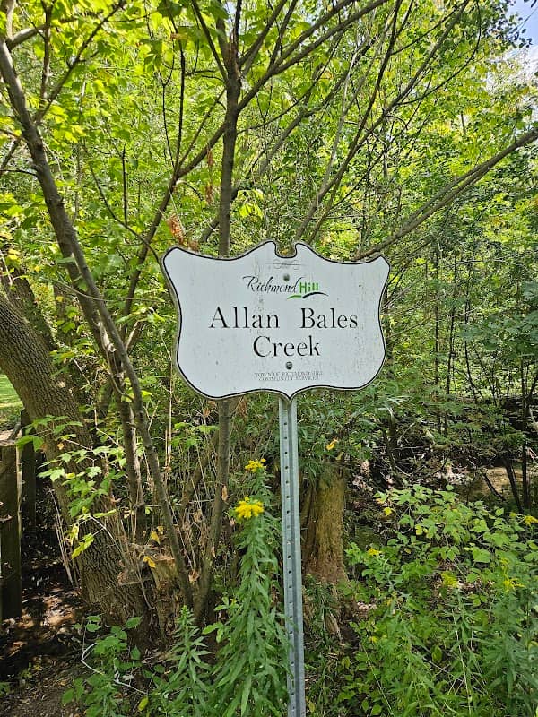 Allan Bales Creek - Image 1