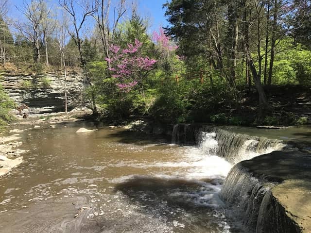Caesar Creek State Park - Image 1