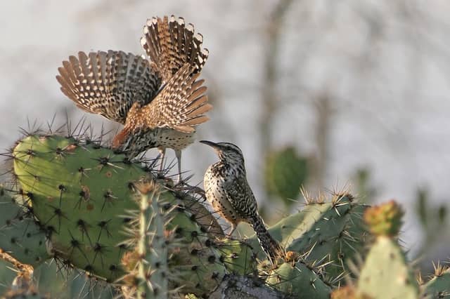 Hellman Park Trailhead - Image 1