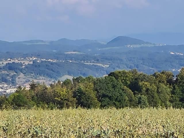 Baumkapelle - Image 1