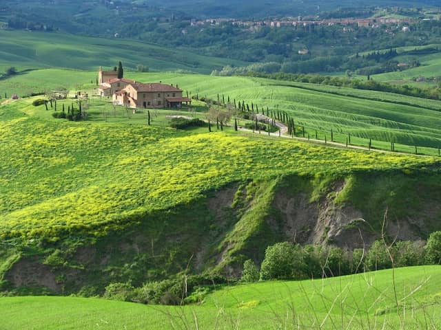 Very Tuscany - Wine Tour & Sightseeing Tour in Tuscany - Image 2