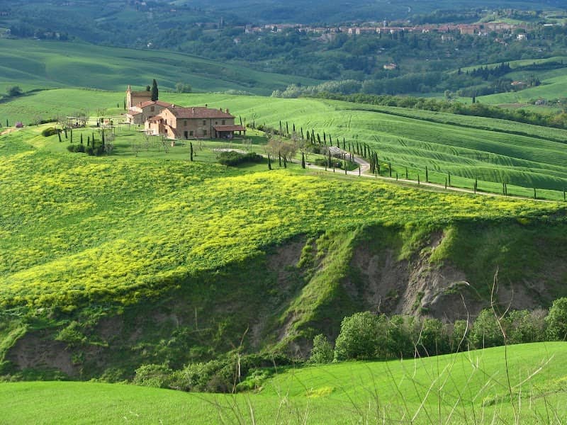Very Tuscany - Wine Tour & Sightseeing Tour in Tuscany - Image 2