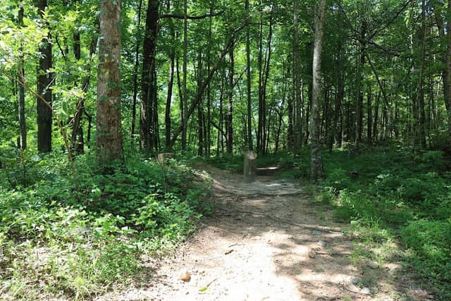 Benton Mackaye Trail - Image 1