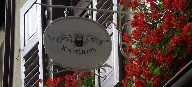 Katzinett - Katzenmuseum Ludwigshafen - Image 2
