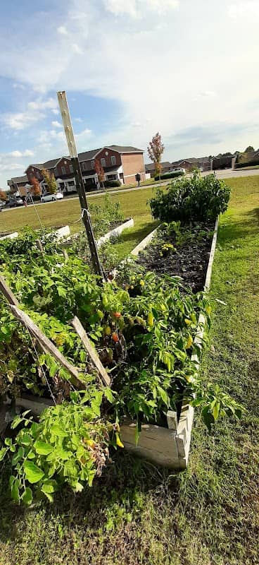 Asbury Seminary Community Garden - Image 1