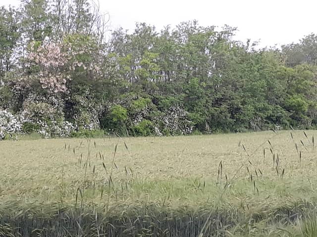 Parco Agricolo Nord Est - Image 1