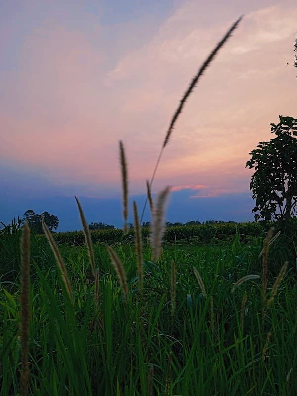 REFRESHING AREA - Image 1
