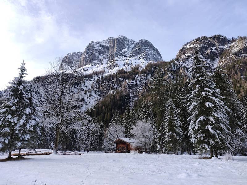 Rotwild Wintergehege - Image 2