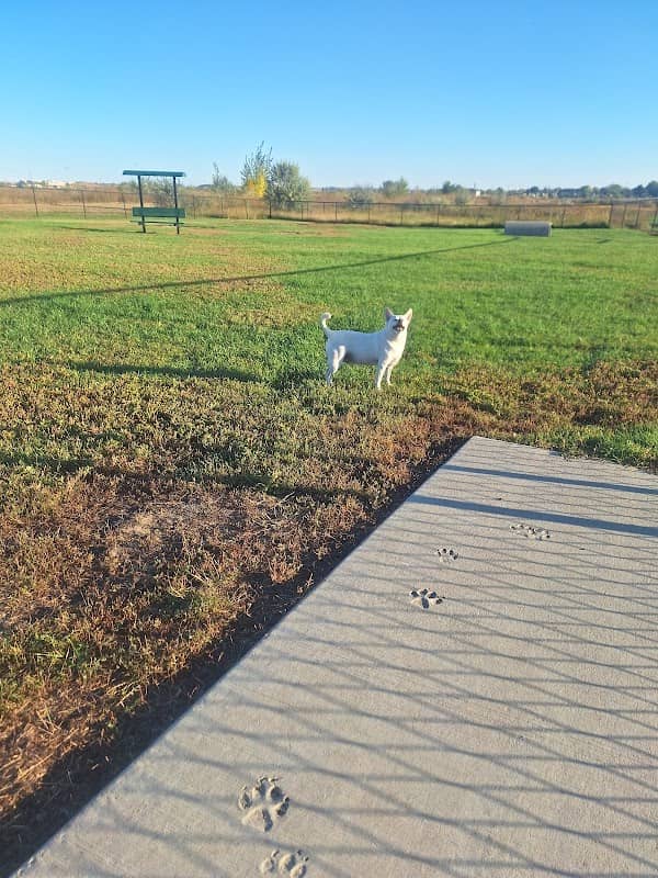 Doc Nelson Dog Park - Image 1