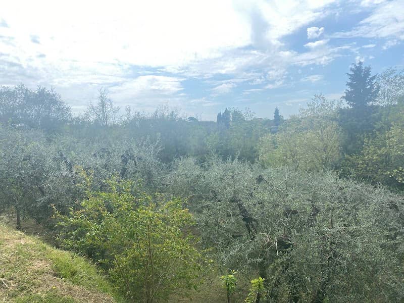 Podere Buffino - Image 2