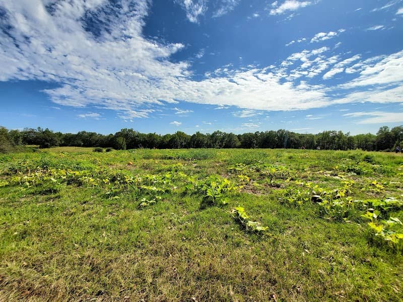 Williams Family Farms - Image 2