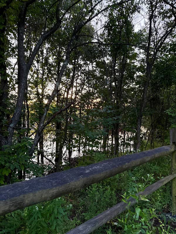 Foot Bridge, Saint Jones Greenway - Image 2