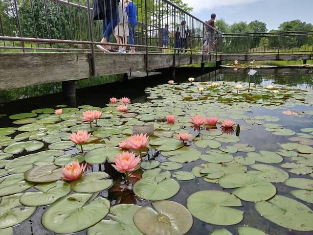 Skokie Lagoons - Image 2