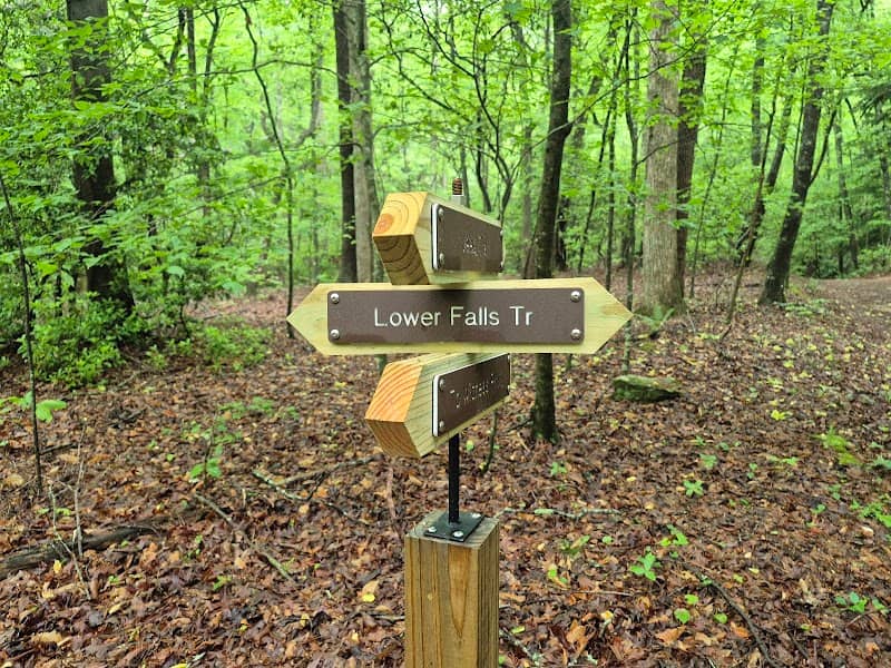 Lower Falls Trail - Image 1
