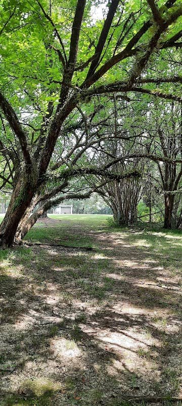 Boyd Site, Natchez Trace Parkway - Image 2