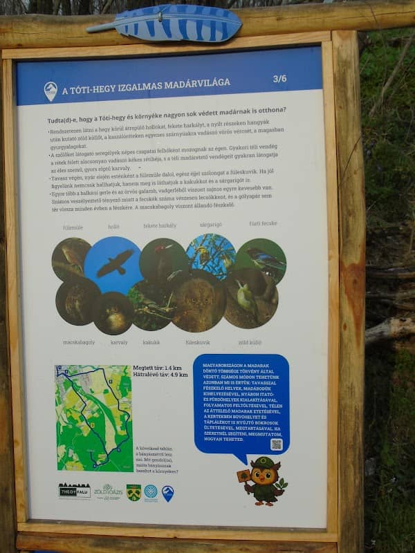 Tótikék turistaút 3. állomása - A Tóti-hegy izgalmas madárvilága - Image 1