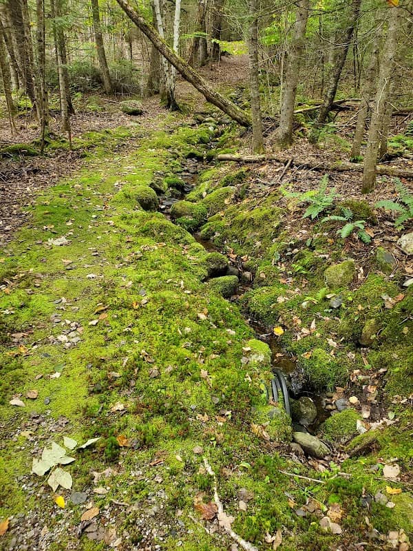 Gold Mine Trail - Image 1