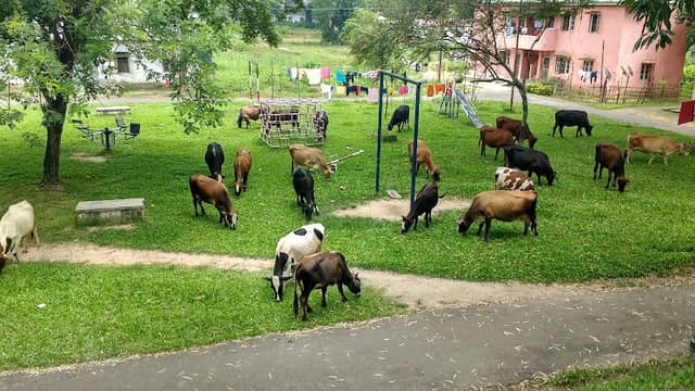 Tribal Park - Image 1