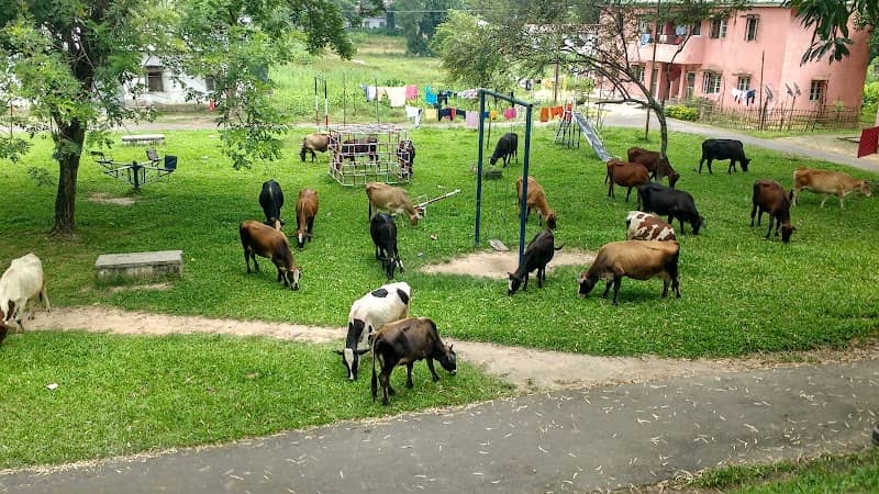 Tribal Park - Image 1