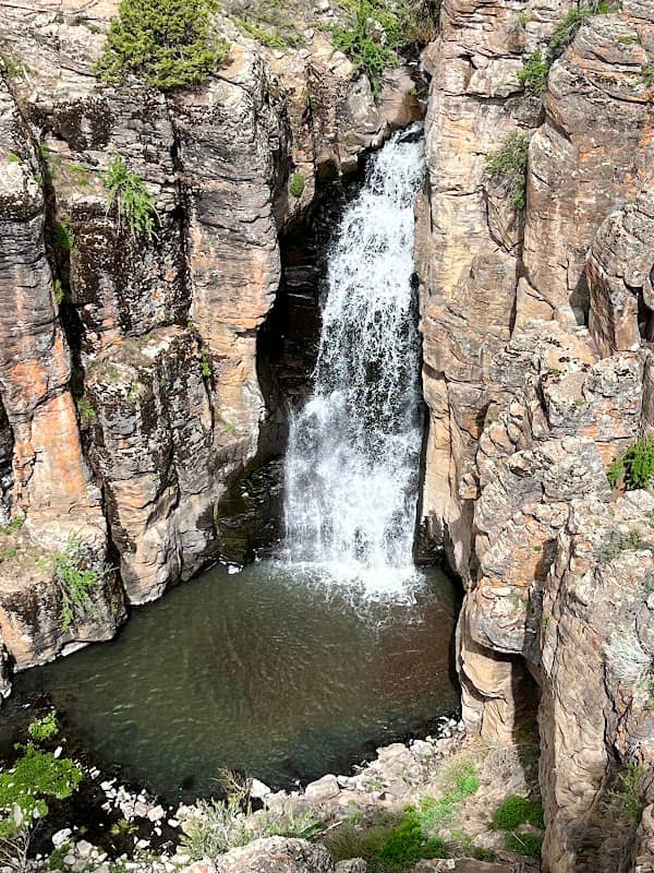 Ipson Creek Falls - Image 1