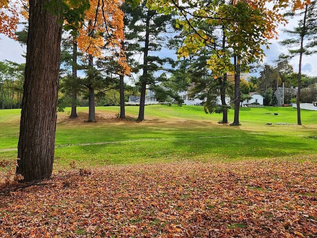 Ballard Park - Image 3