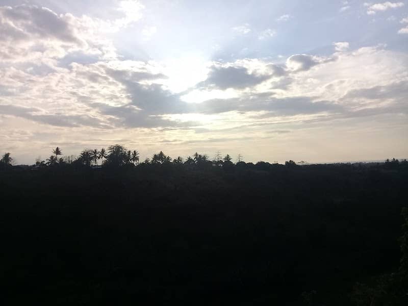 Terrace Field Sajeng - Image 1