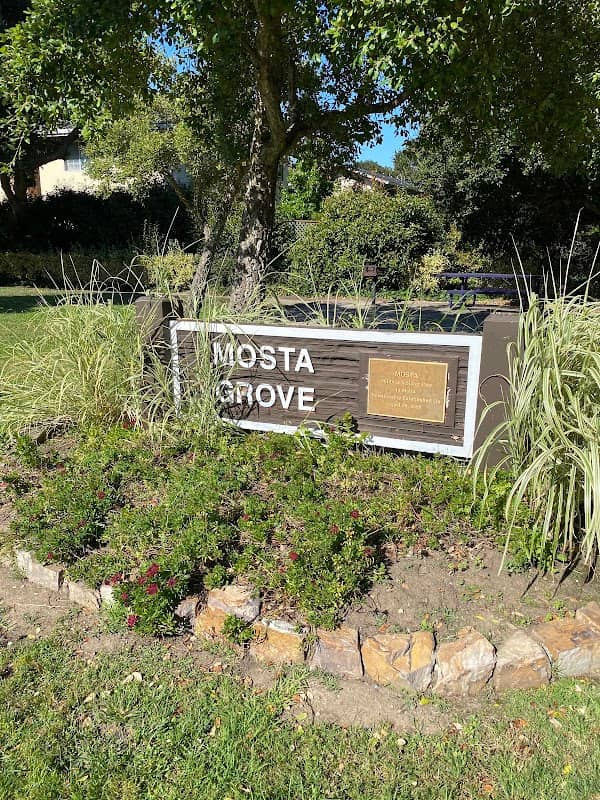Mosta Grove - Image 1