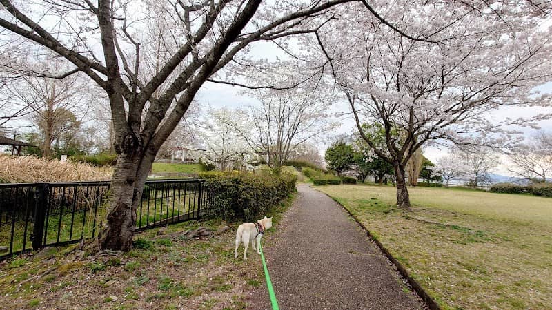 Kinugawa Ryokuchi Park - Image 1