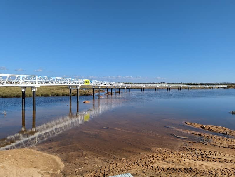 Observação de aves na Ribeira de Alcantarilha em Armação de Pêra - Image 3