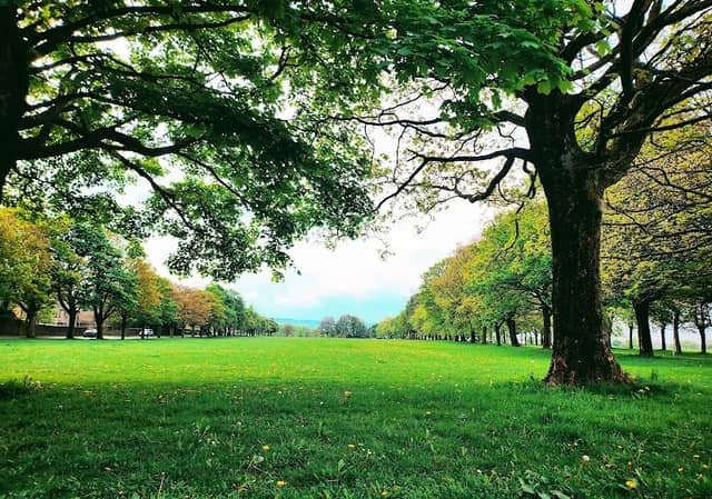 Savile Park Moor - Image 1