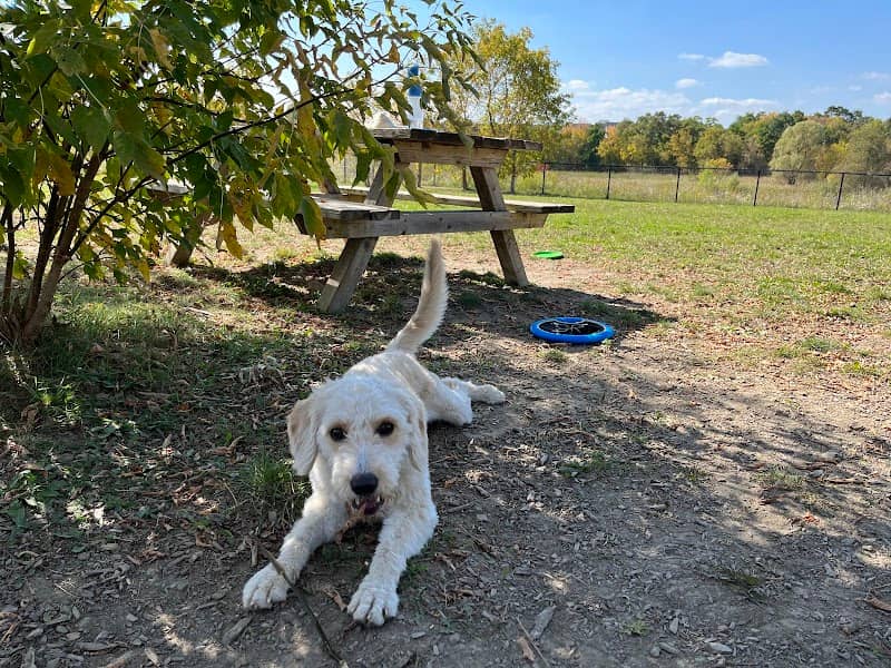 King City Off-Leash Dog Park - Image 1