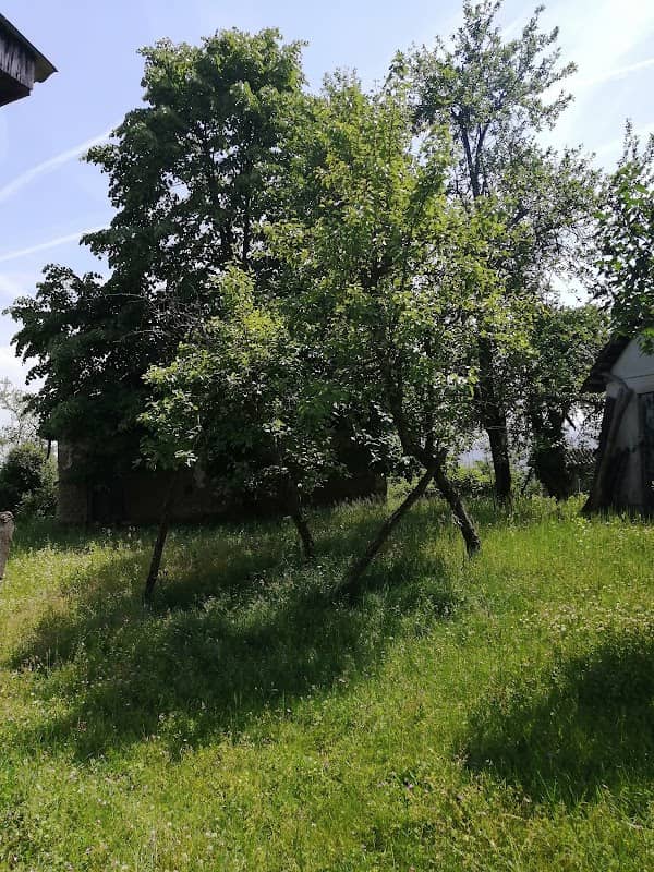 Породична кућа Васић - Image 1