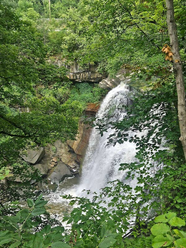 Waterfalls - Image 1