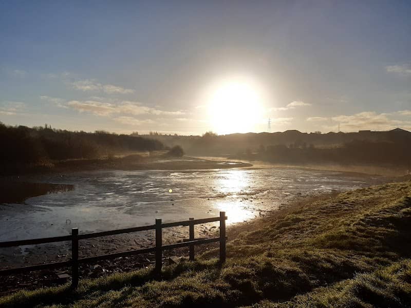 Buckpool and Fens Pool Local Nature Reserve - Image 2