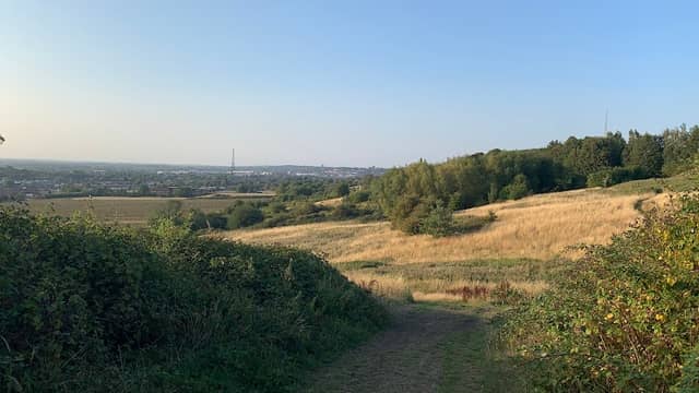Ridge View photo - Image 2