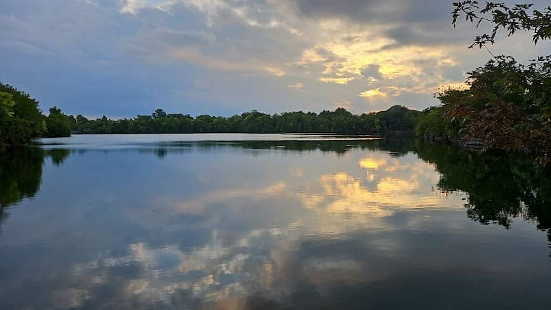 Cobb Lake - Image 2