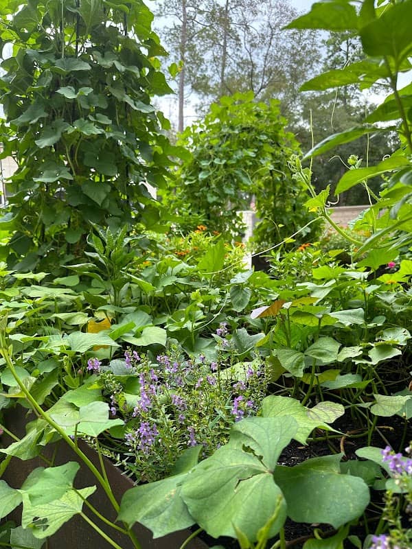 Monarch Garden Company - Image 2