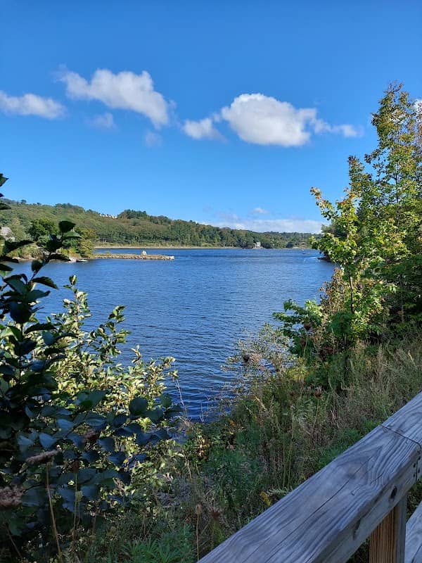Stephenson Preserve - Image 2