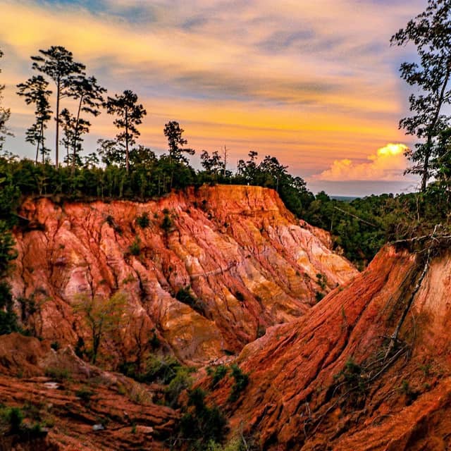 Red Bluff - Image 2