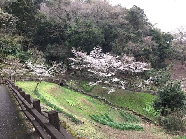 Kinugasa Yama Park - Image 1