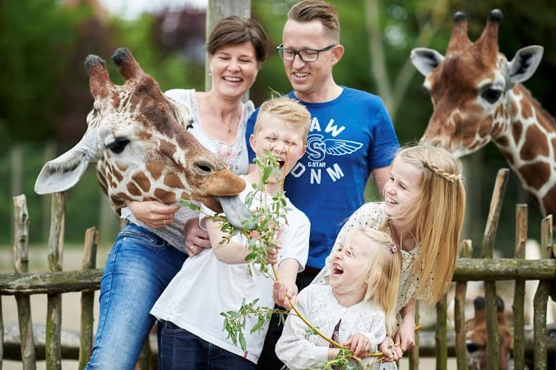 Odense Zoo - Image 1