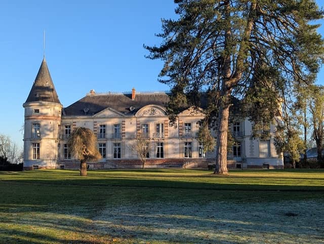 Château de Chenevelle - Image 1