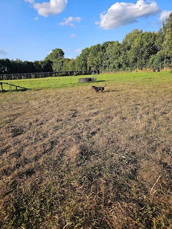 Christmas Hill Dog Park - Image 1