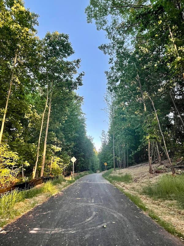 Gold Mine Park - Image 3