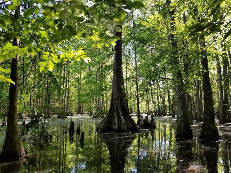 Lee Tartt Nature Preserve - Image 2
