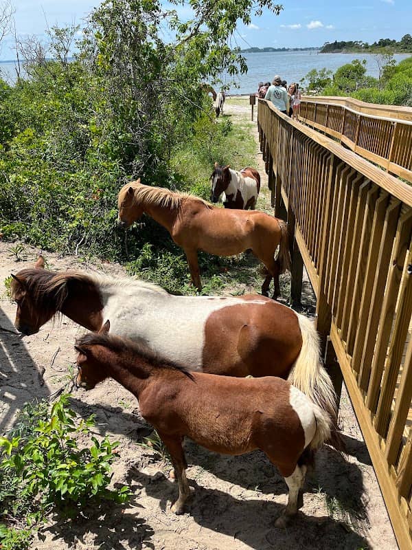 Assateague Island National Seashore Entrance Station - Image 1